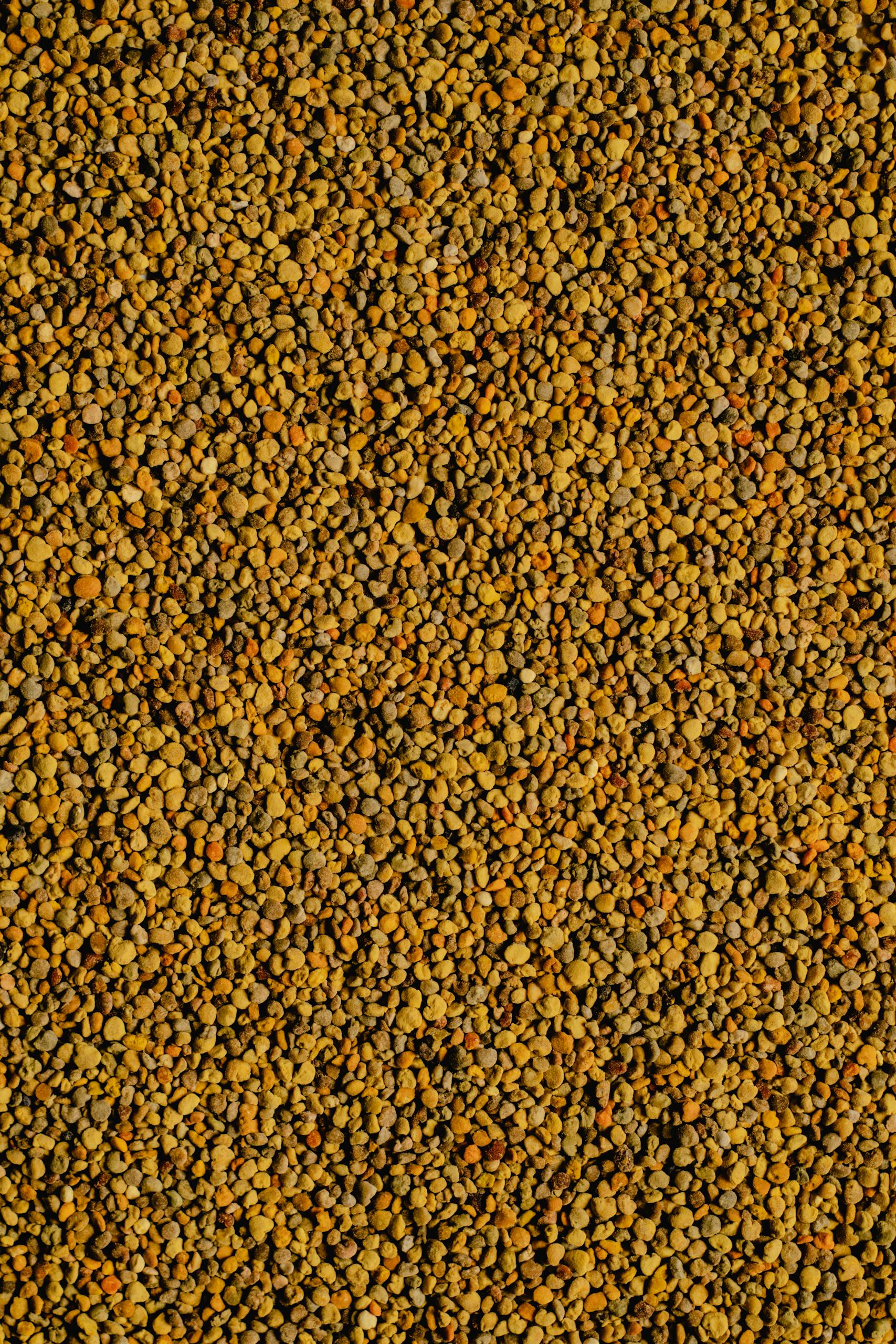 High-quality close-up image of natural bee pollen granules, perfect for food or health topics.