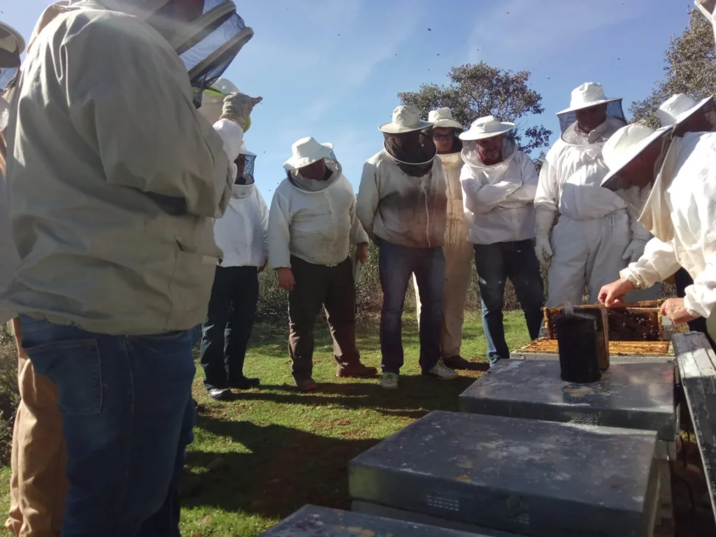 Personas rodeando los panales