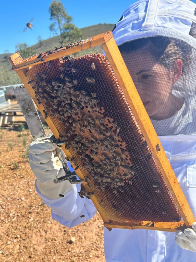 Una mujer con traje protector observa de cerca un panal