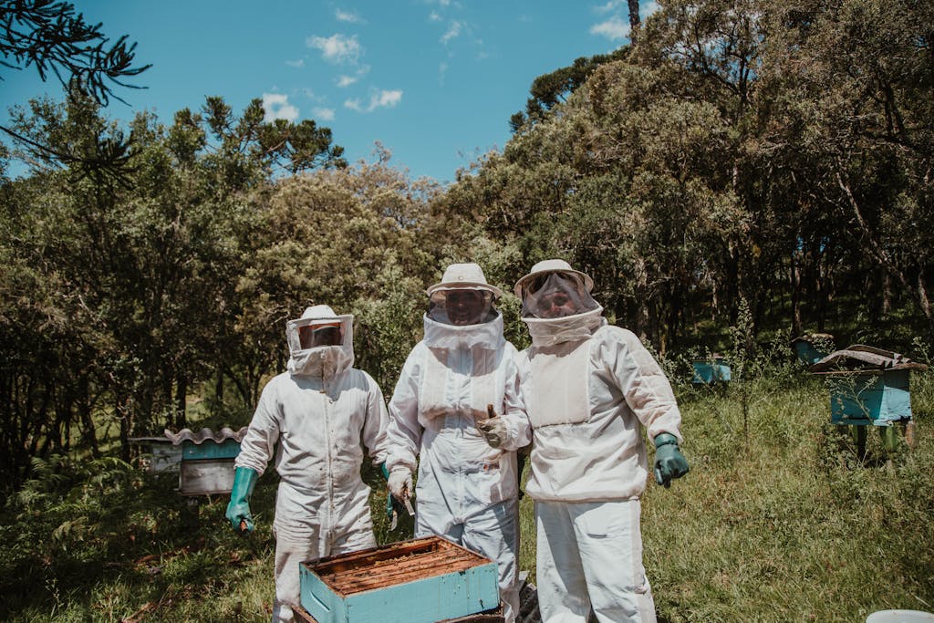 Three beekeepers in protective gear tending hives in a sunny forest apiary.